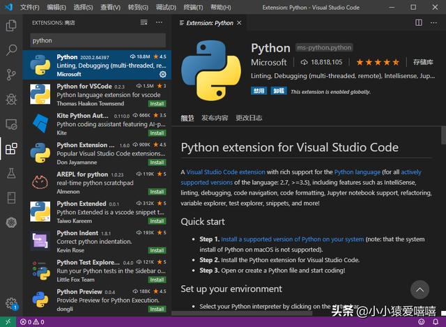 开发python最好用的软件是什么？-第4张图片-平心在线