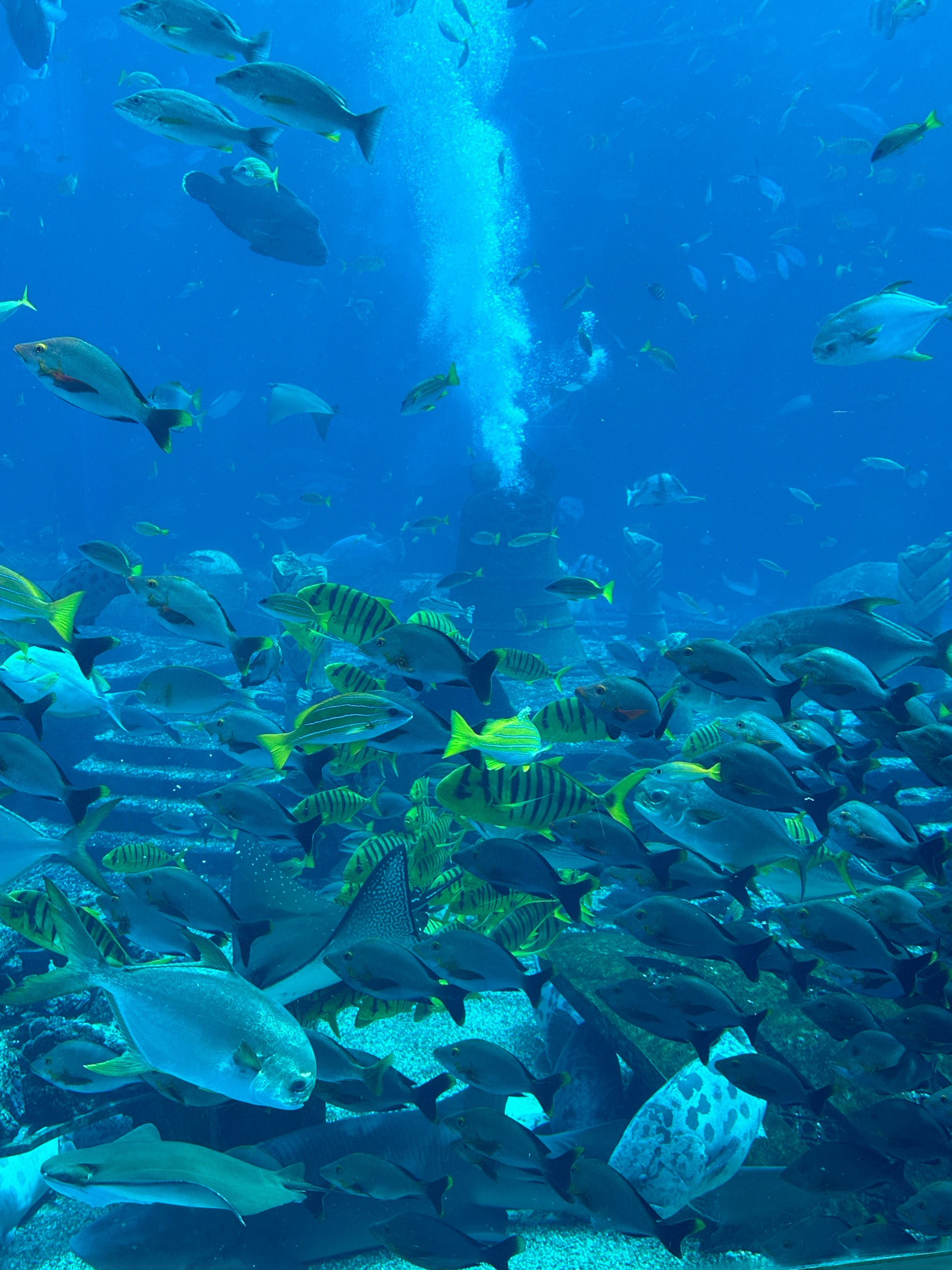 手机水族馆破解版水族馆屏保中文破解版